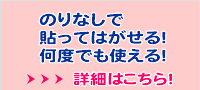 ステンドカラーシート 詳細はこちら